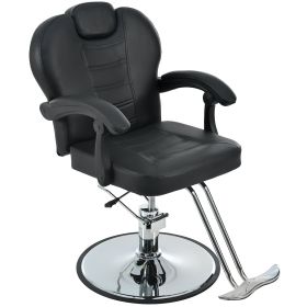 Metal Barber Salon Chair (Color: Black)